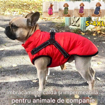 Vestă pentru animale de companie 2 în 1, cu material impermeabil, căptușeală din fleece și cataramă de siguranță, disponibilă în mai multe culori