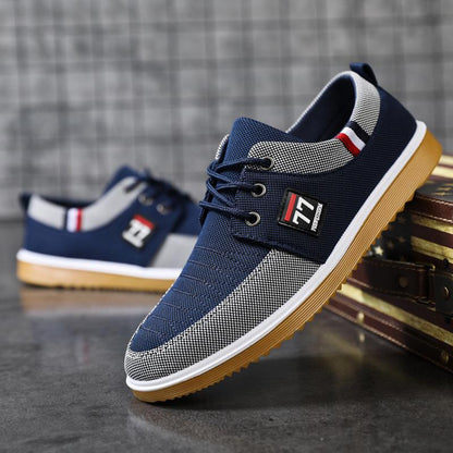 🔥VENTA CALIENTE🔥 2026 Zapatos casuales de lona transpirables para hombres