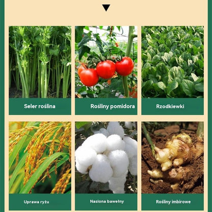 🌿🌿【10 toreb】Rozpuszczalny w wodzie nawóz z chlorofilem, nawóz dolistny do kwiatów, drzew owocowych i warzyw, wspomaga wzrost korzeni, wzrost sadzonek i zwiększa plony. Rozpuszczalny w wodzie nawóz rolniczy.