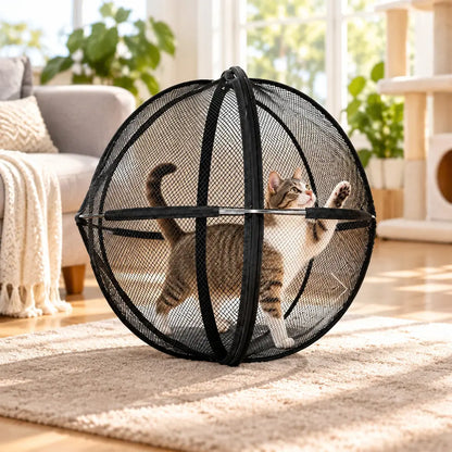 🐱 Cort Sferic Pliabil cu Plasă Respirabilă pentru Pisici · Protecție 360° · Spațiu Sigur de Joacă Interior și Exterior!