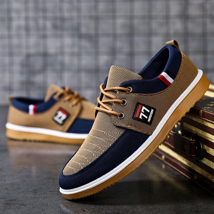 🔥VENTA CALIENTE🔥 2026 Zapatos casuales de lona transpirables para hombres