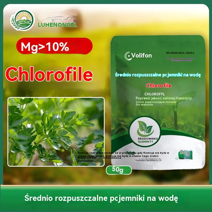 🌿🌿【10 toreb】Rozpuszczalny w wodzie nawóz z chlorofilem, nawóz dolistny do kwiatów, drzew owocowych i warzyw, wspomaga wzrost korzeni, wzrost sadzonek i zwiększa plony. Rozpuszczalny w wodzie nawóz rolniczy.
