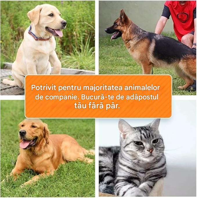 🐶🐱Instrument profesional pentru descurcarea câinilor și pisicilor✨