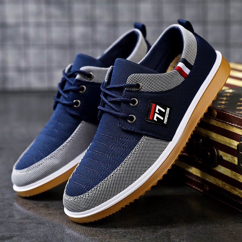 🔥VENTA CALIENTE🔥 2026 Zapatos casuales de lona transpirables para hombres