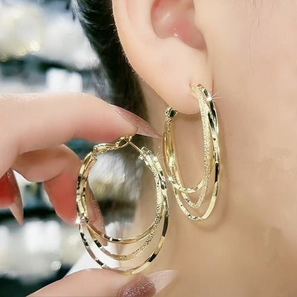 ✨✨【Compra 1 y llévate 1 gratis】Pendientes de aro grandes de plata de ley 925